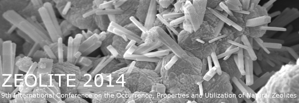 zeolite